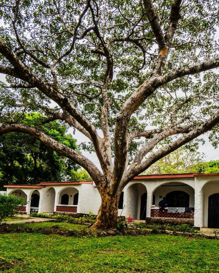 Diani Sea Lodge 디아니 해변 외부 사진