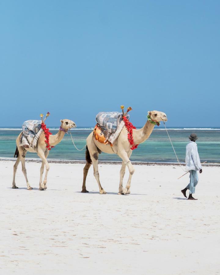 Diani Sea Lodge 디아니 해변 외부 사진